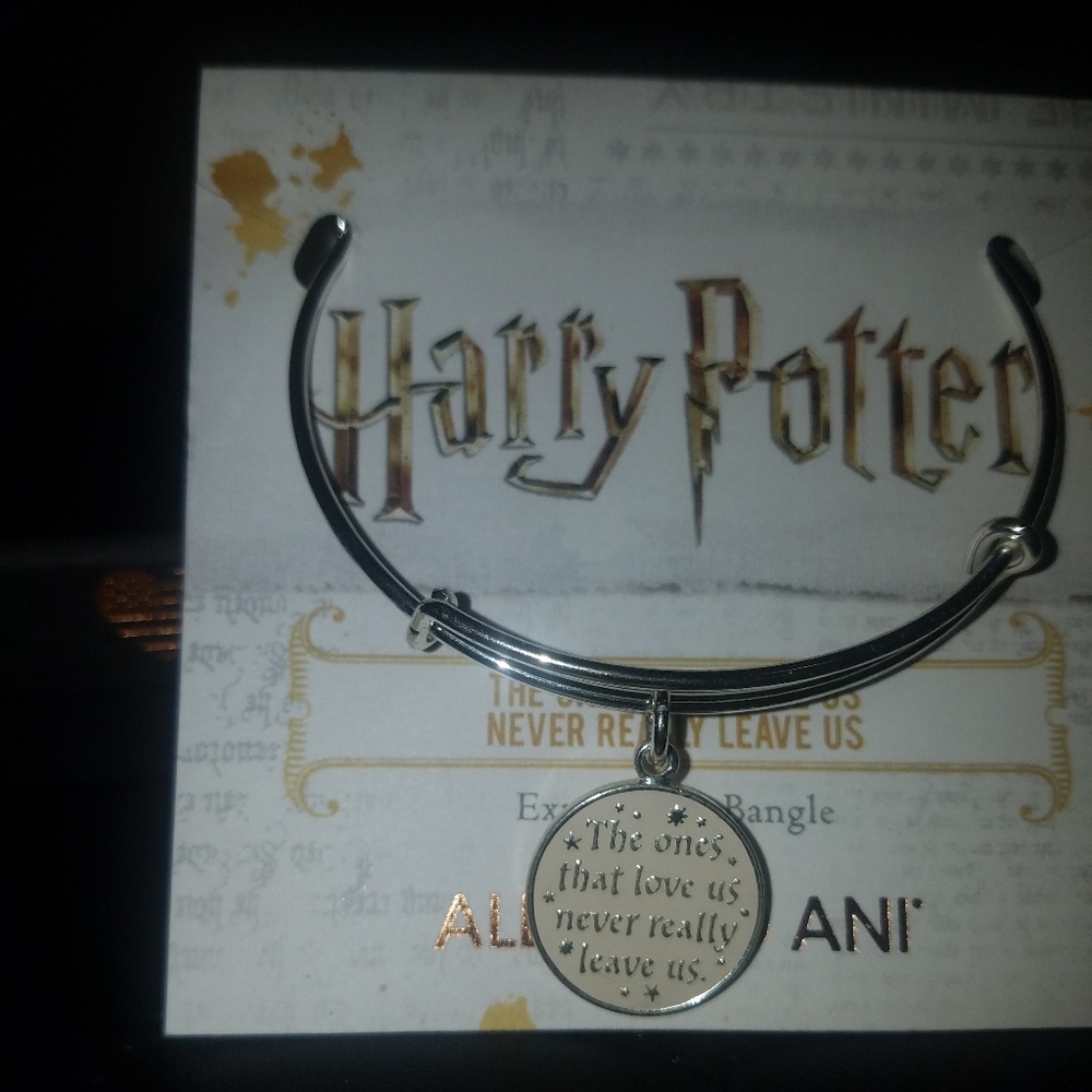 HP: The Ones that Love Us Never Really Leave Us